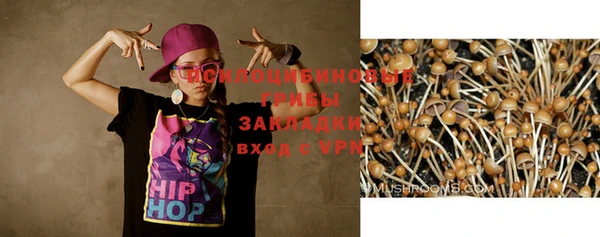 2c-b Козловка