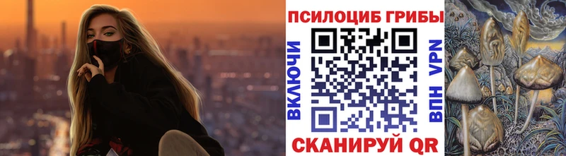Купить  Мензелинск  Псилоцибиновые грибы ЛСД 