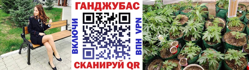 Купить закладки  Мензелинск  Бошки марихуана LSD WEED 